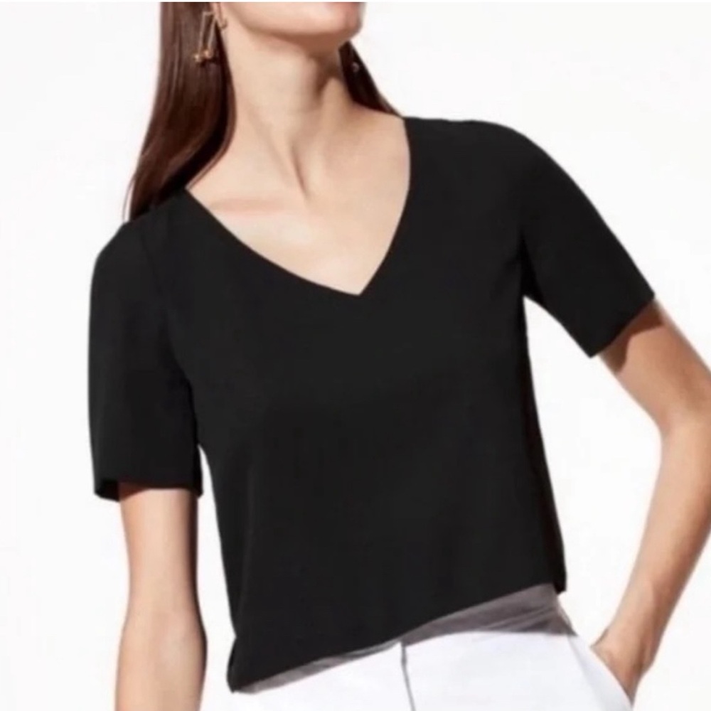 Aritzia Babaton short sleeve v-neck blouse in black